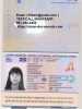 Real OR fake Novelty Passports, Drivers Licenses