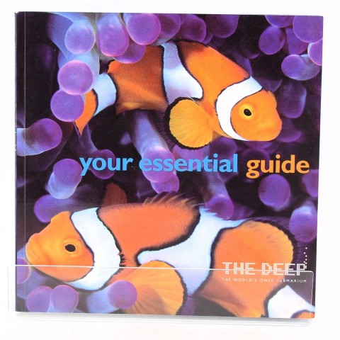 Your essential guide