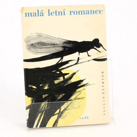 Malá letní romance